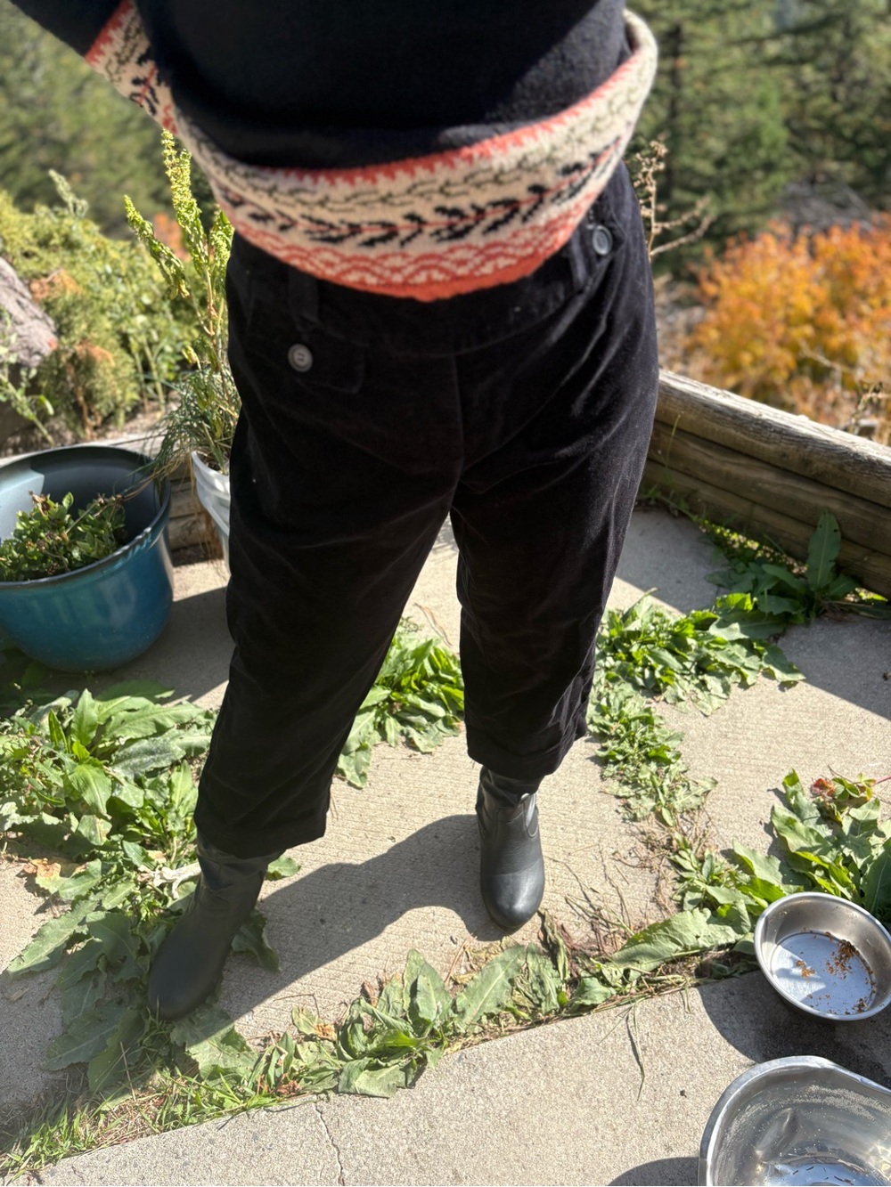 Ladies back Velvet Cropped Pants